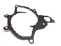 View Engine Water Pump Gasket Full-Sized Product Image 1 of 4